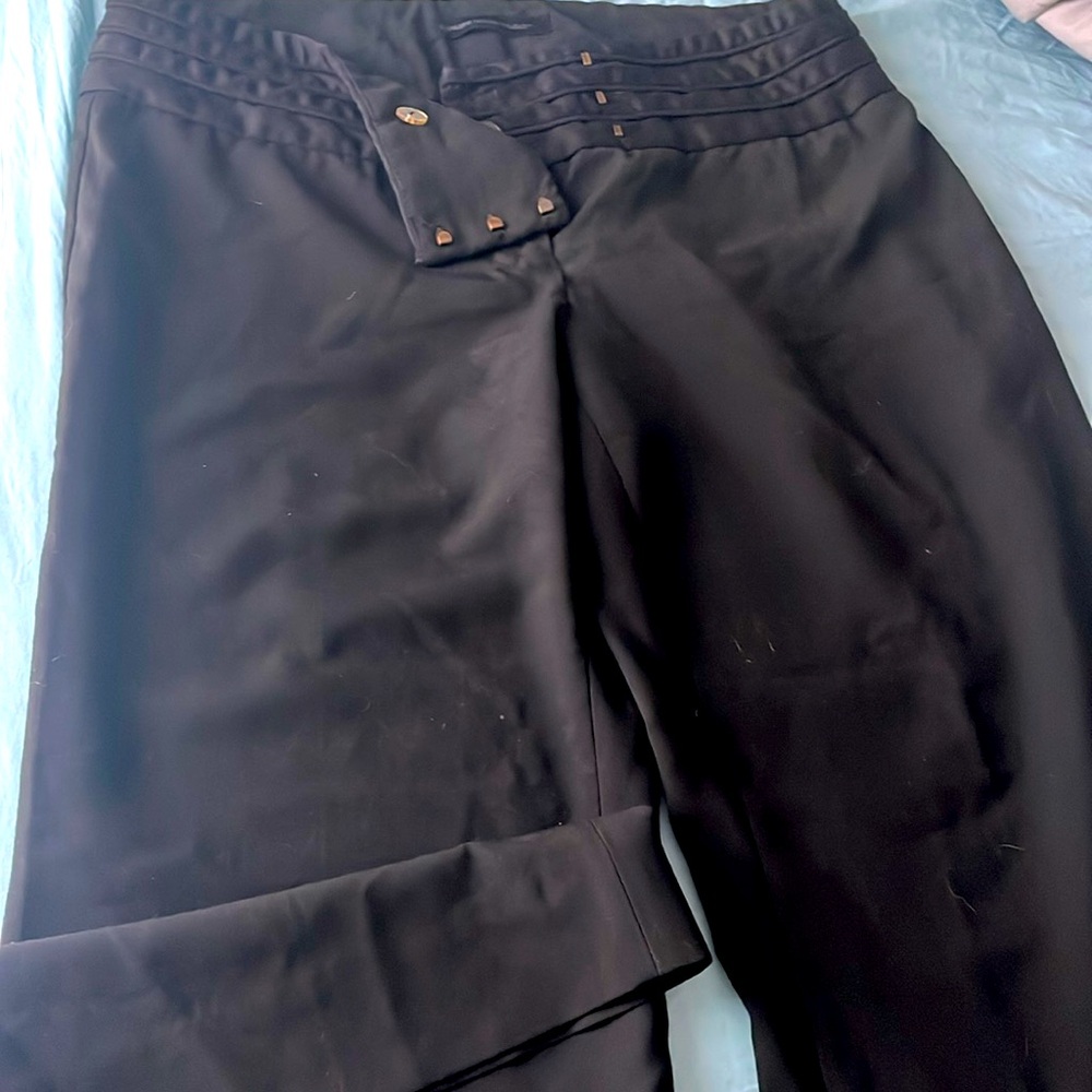 Express Editor Dress Pants